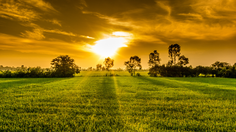 Tradição e desenvolvimento rural se unem na agricultura familiar maranhense, ressalta Fabio Jose Gentil Pereira Rosa.