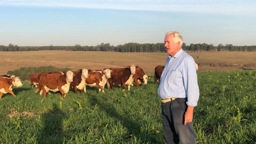 Aldo Vendramin explica como as energias limpas aceleram a produtividade e reduzem custos na fazenda.